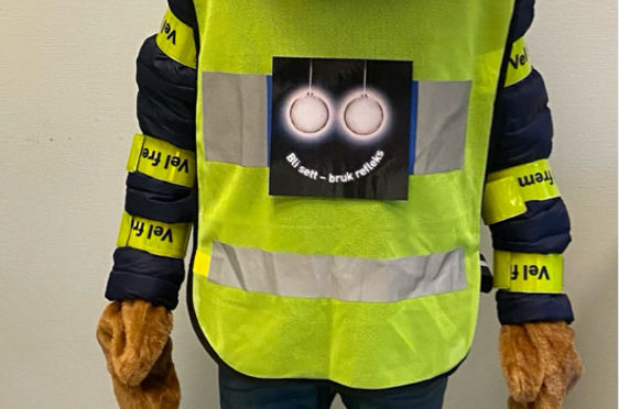 Bamse med mange reflekser