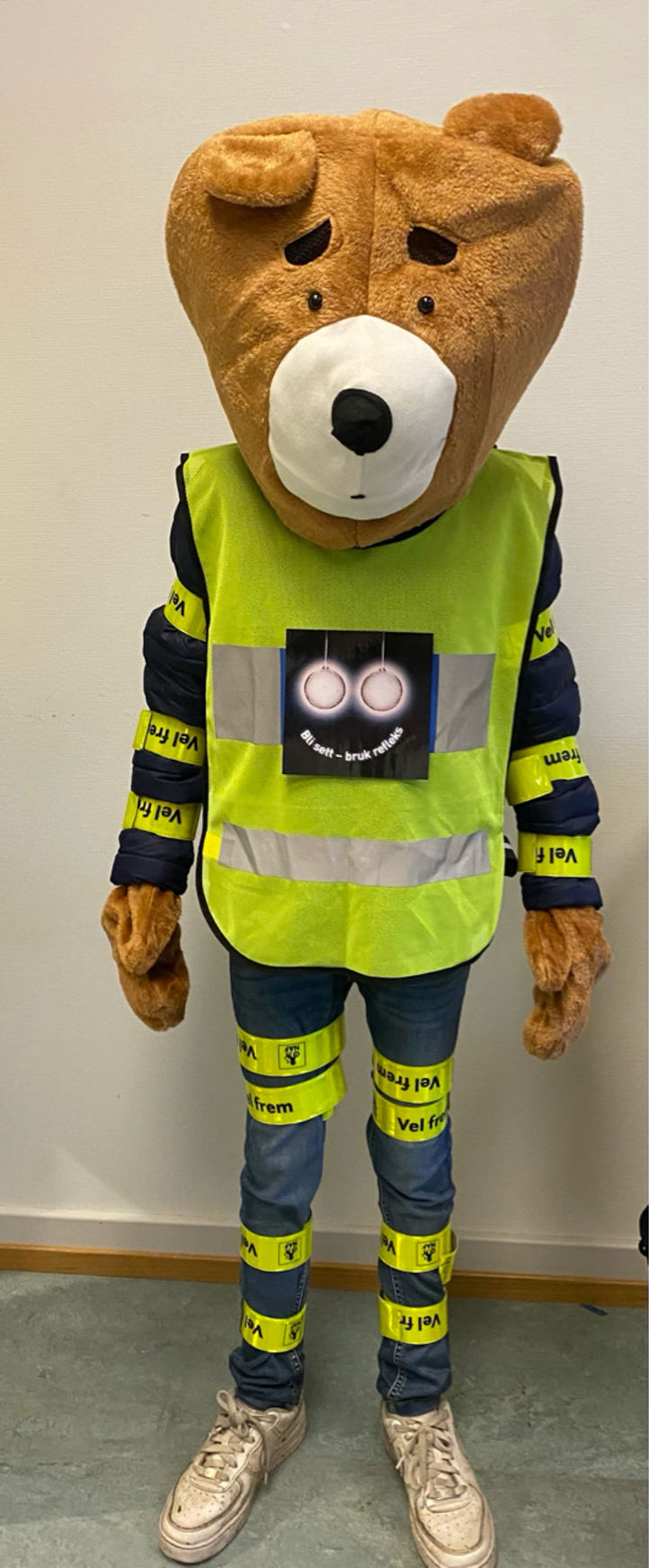 Bamse med mange reflekser