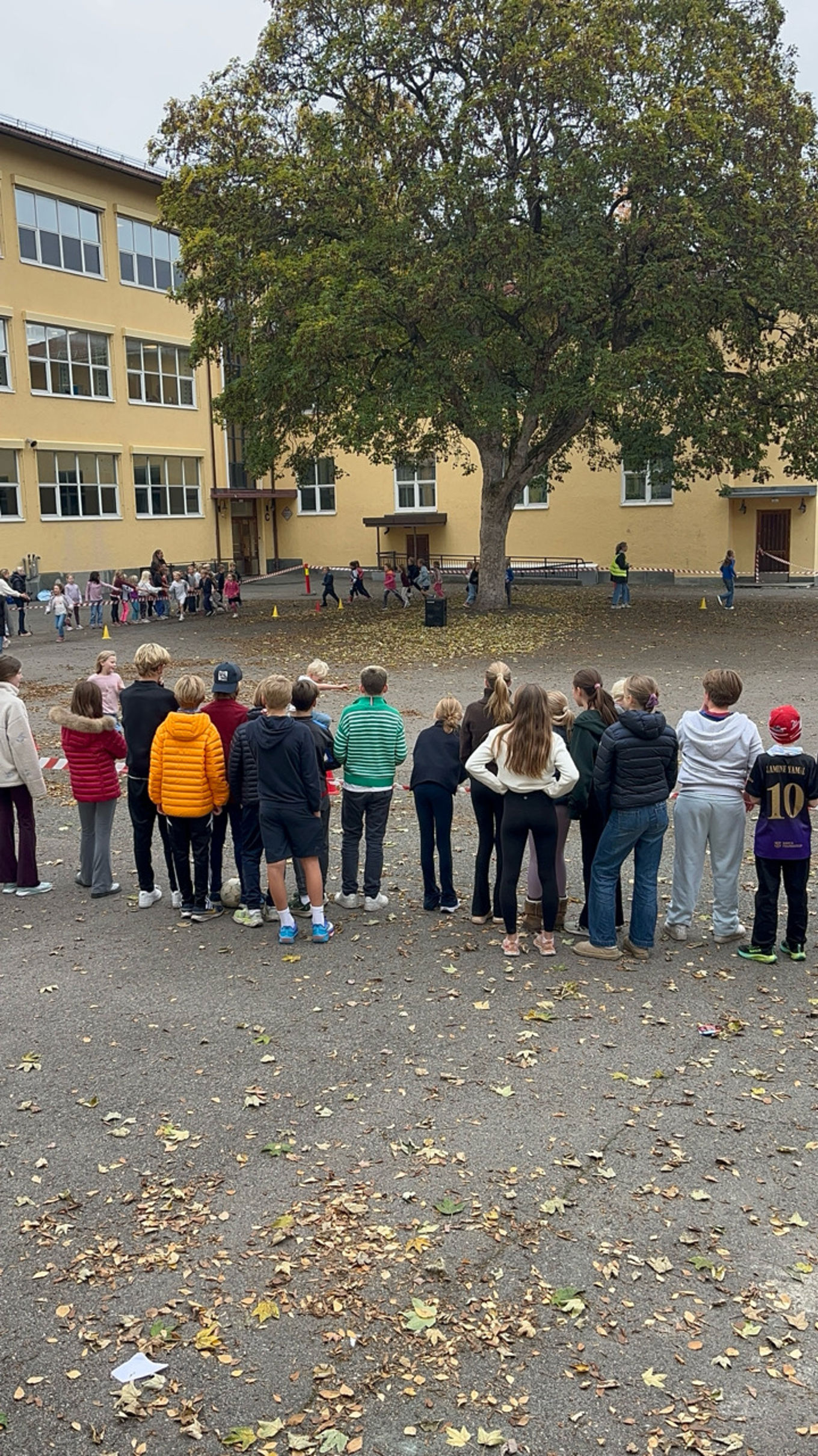 en gruppe mennesker som står på rekke foran et tre