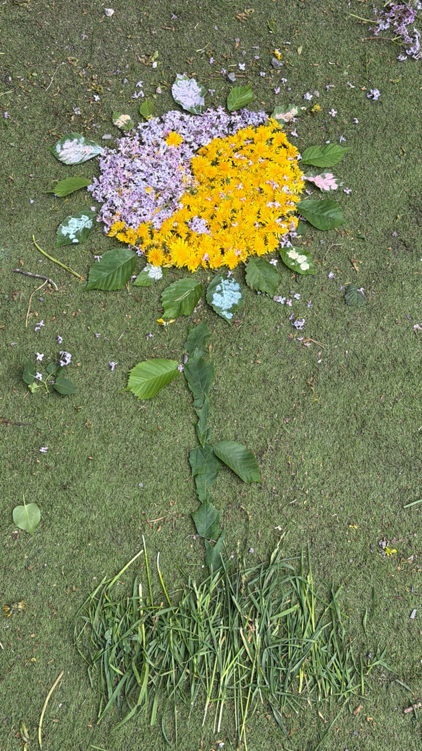 En blomst i gresset